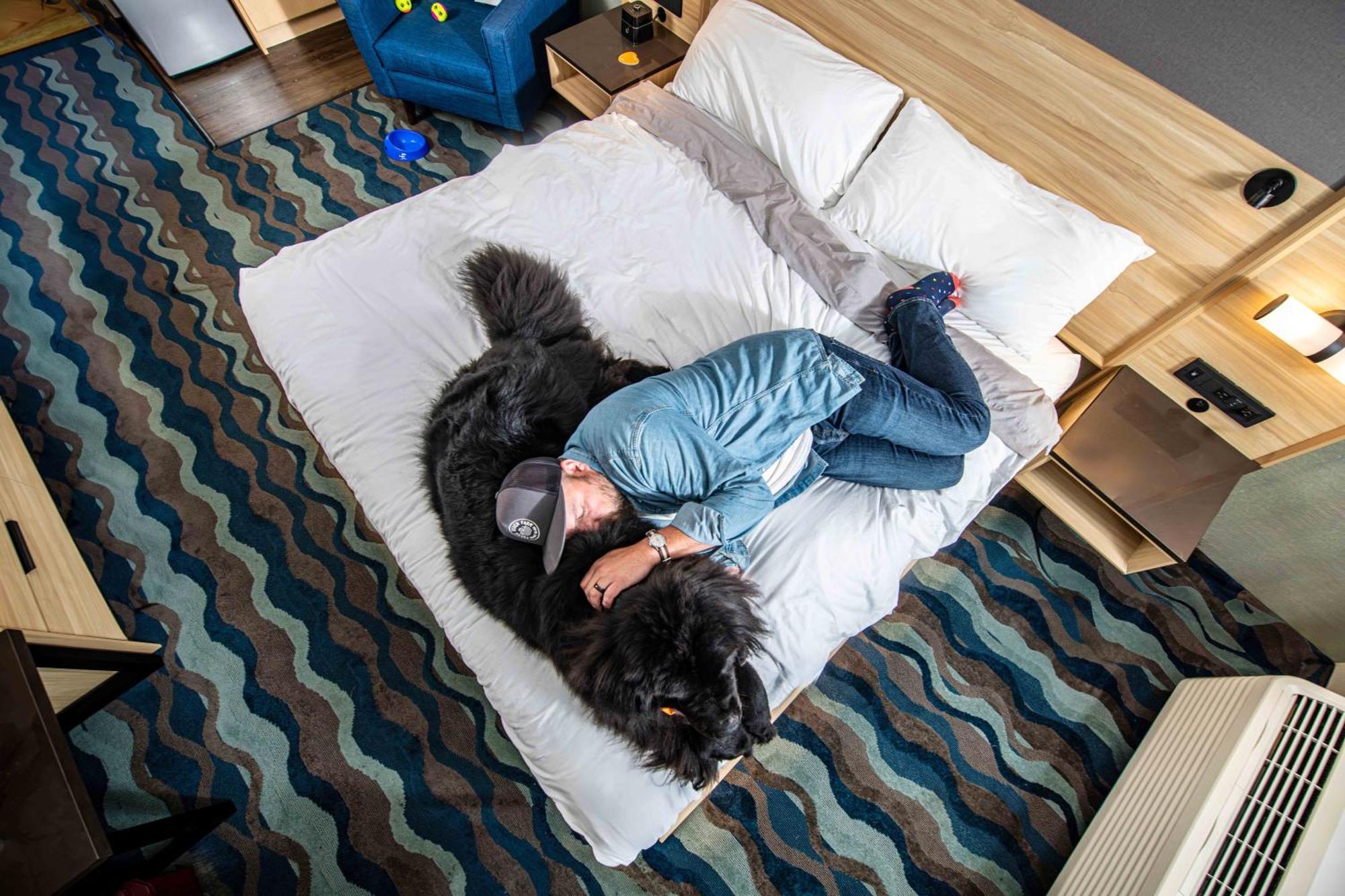 Accent Inns Vancouver Airport Ричмонд Екстер'єр фото